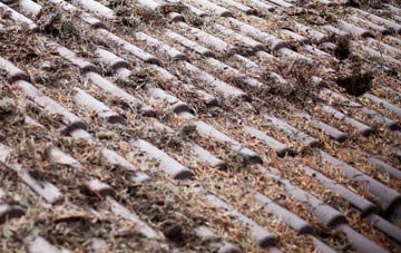 Gunness roof cleaning companies